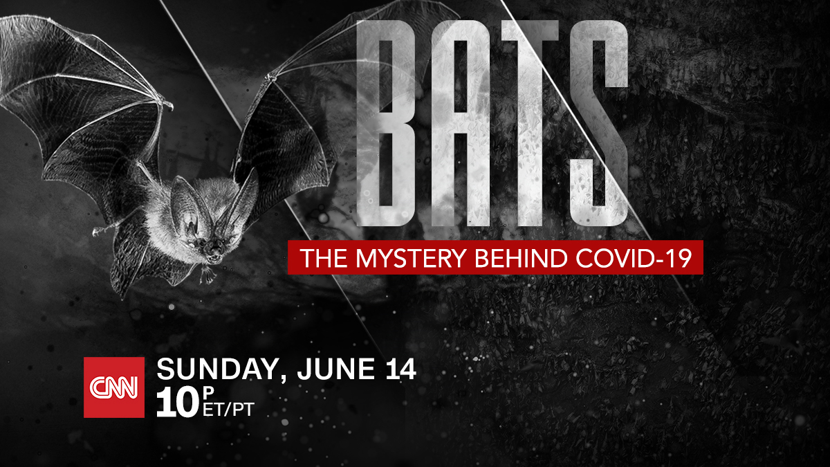 Cara appears on CNN special with Anderson Cooper, 'Bats, The Mystery Behind COVID-19'