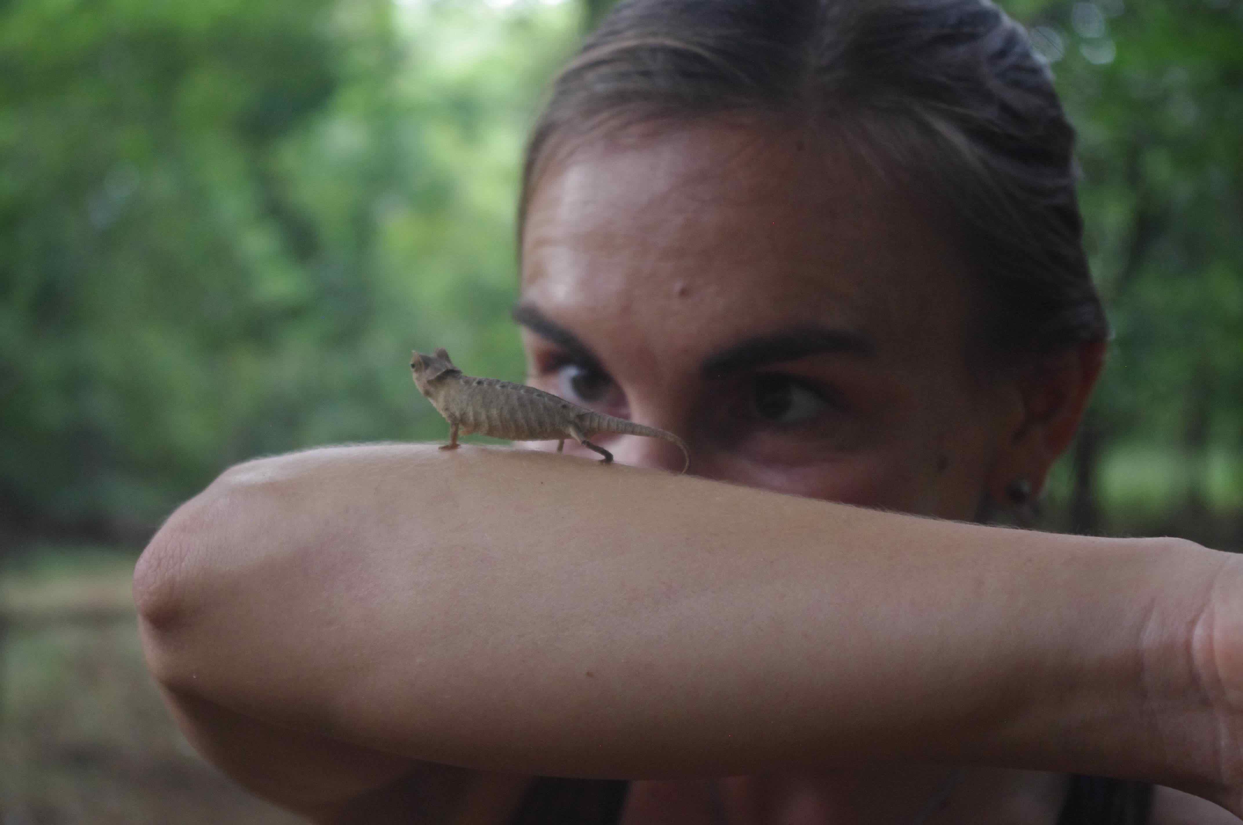 Cara blogged for National Geographic throughout her PhD. Read her doctoral chronicles of life as a field biologist studying emerging bat-borne viruses here.