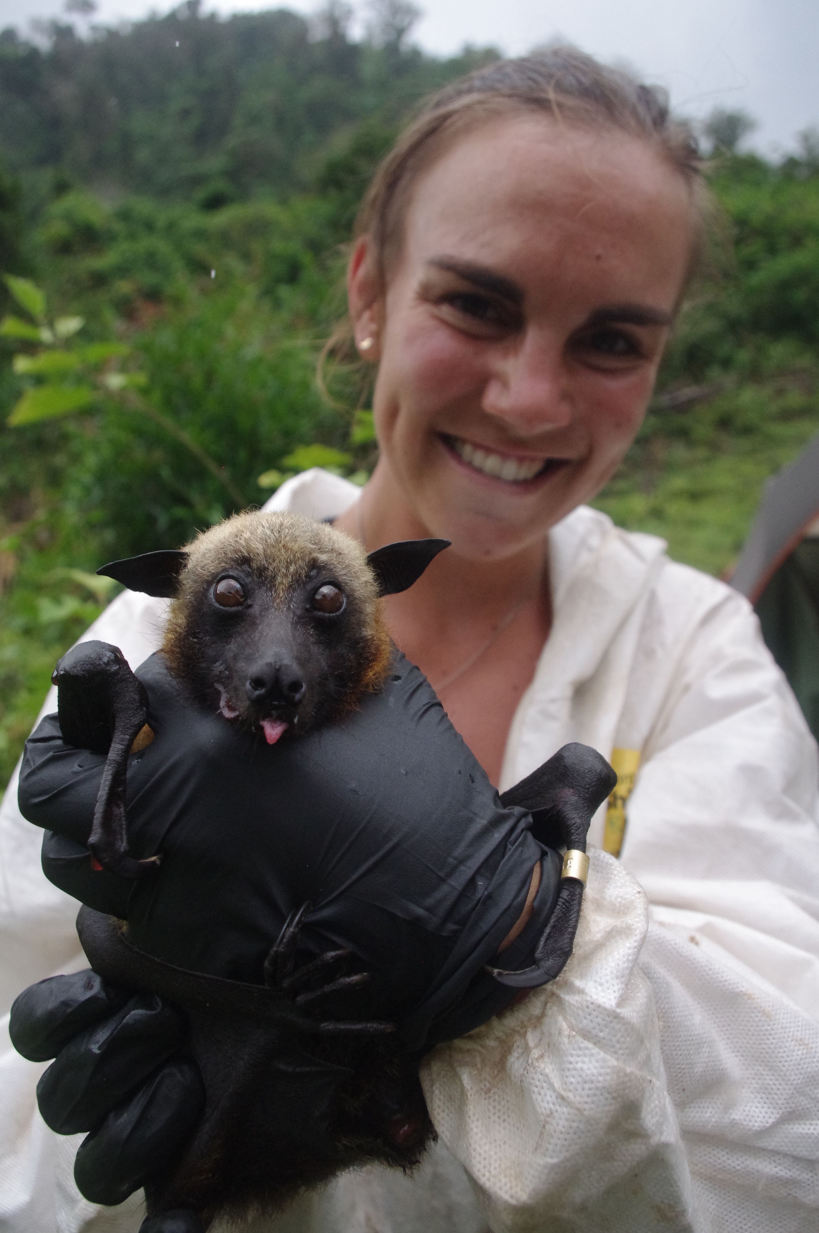 Ekipa Fanihy releases first Madagascar fruit bat genome (Pteropus rufus) open-access with the DNA Zoo