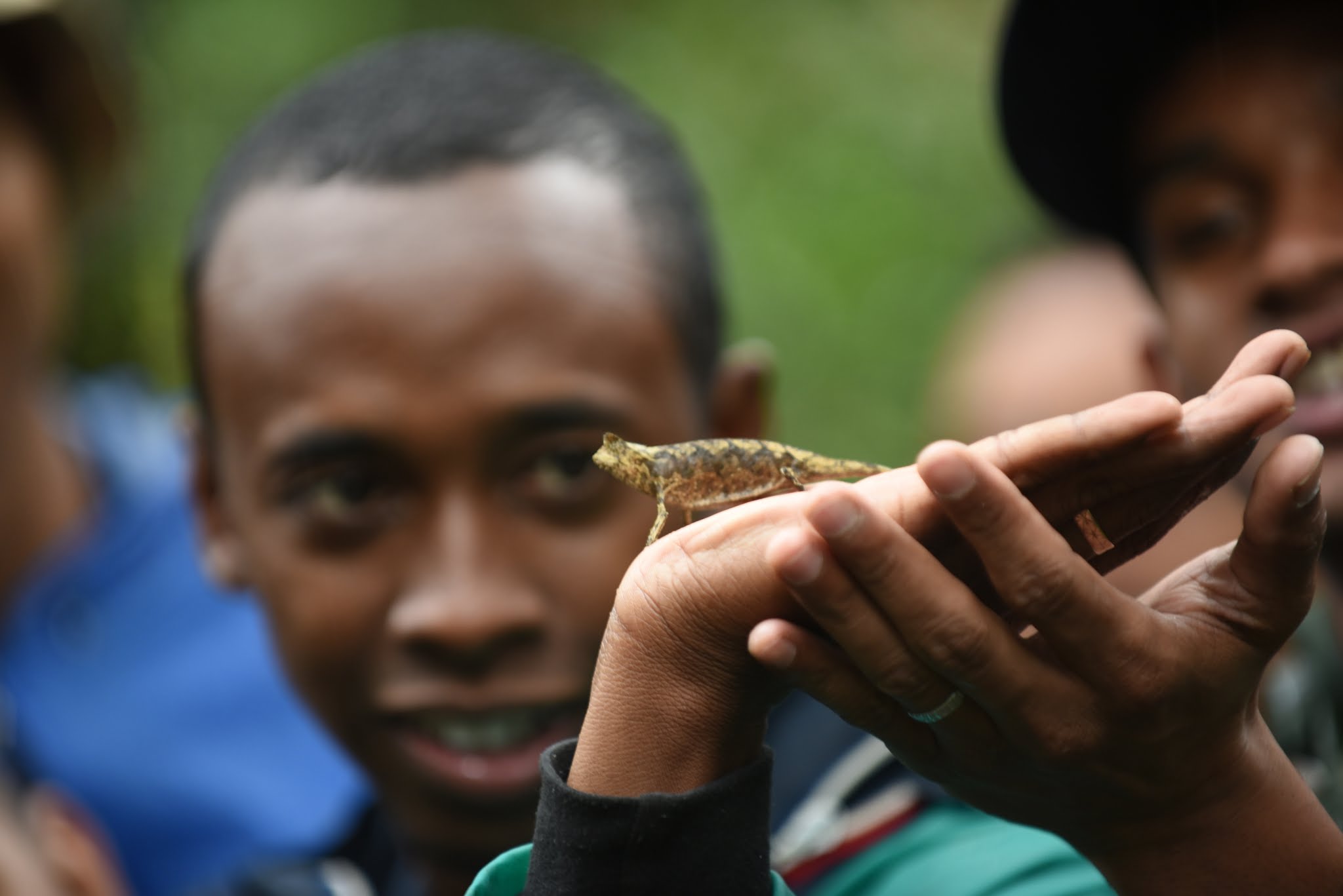 Cara writes for NatGeo about teaching ecological modeling in Madagascar -- 